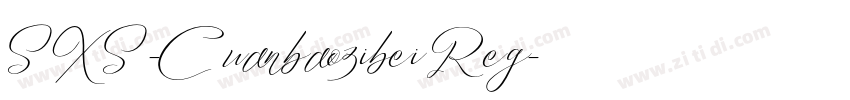 SXS-Cuanbaozibei Reg字体转换